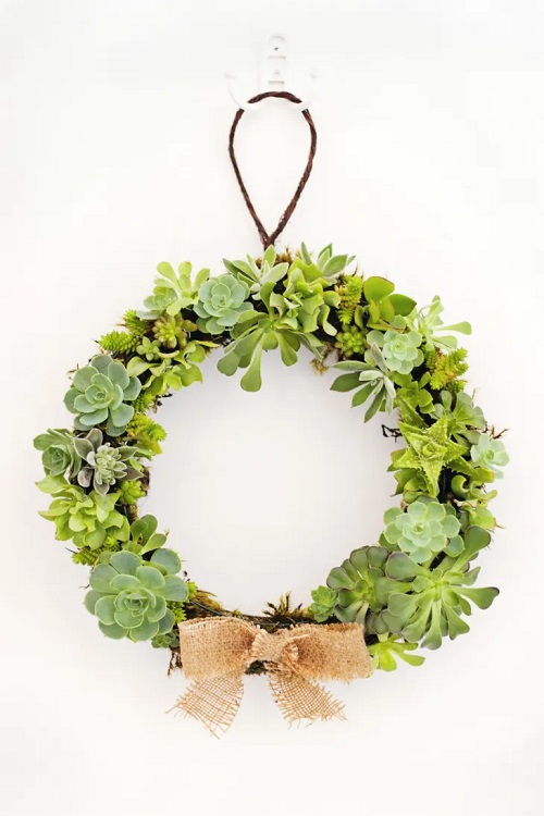 DIY Succulent Wreath Ideas 1