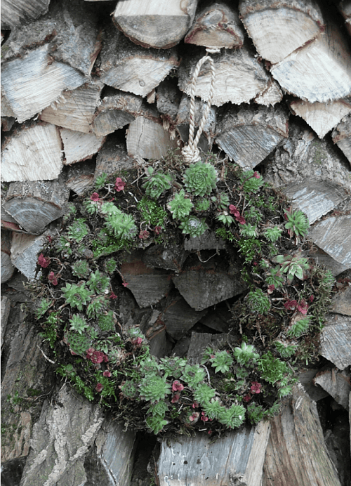 DIY Succulent Wreath Ideas 2