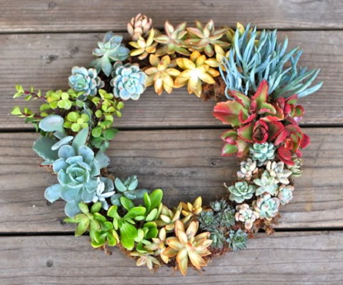 DIY Succulent Wreath Ideas 3