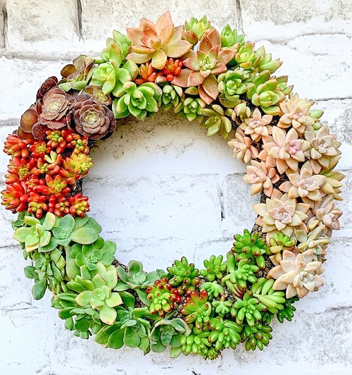 DIY Succulent Wreath Ideas 4