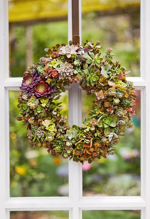 DIY Succulent Wreath 5