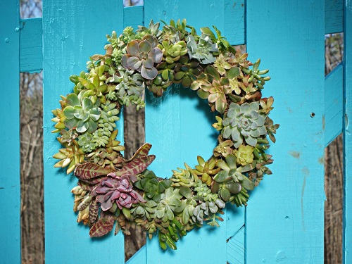 DIY Easy Succulent Wreath 3