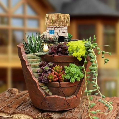succulent Miniature World