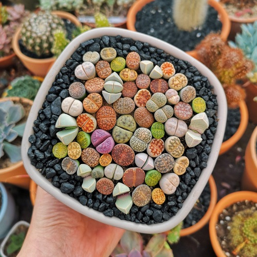 Lithops Overview