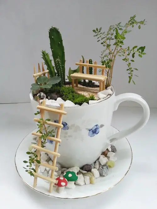 Succulents in Coffee Mugs 1