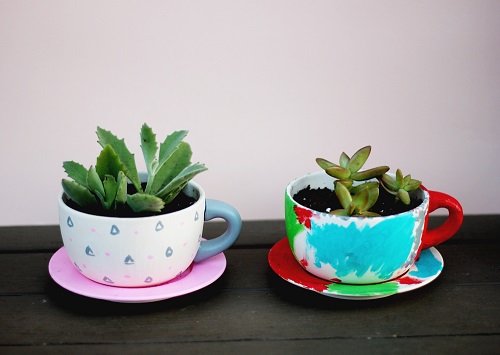 Succulents in Coffee Mugs 4