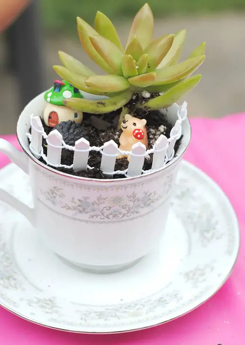 Succulents in Coffee Mugs 5