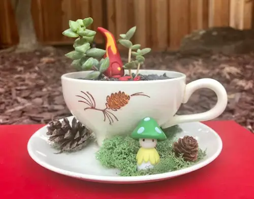 Outdoor Succulents Teacup 1