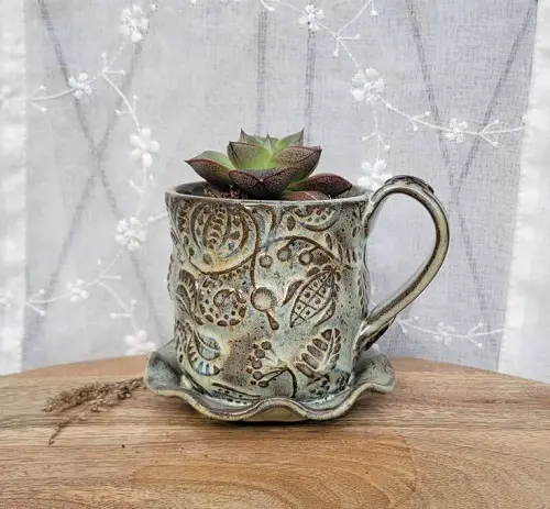 Outdoor Succulents Teacup 7