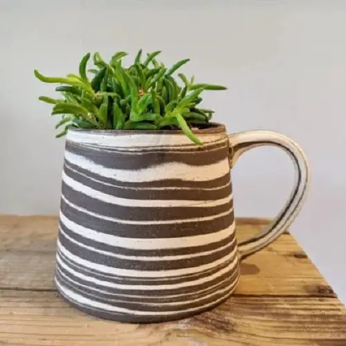 Outdoor Succulents Teacup 2