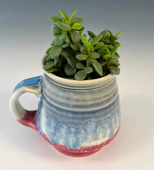 Outdoor Succulents Teacup 3