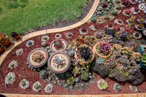 easy DIY succulent rock garden