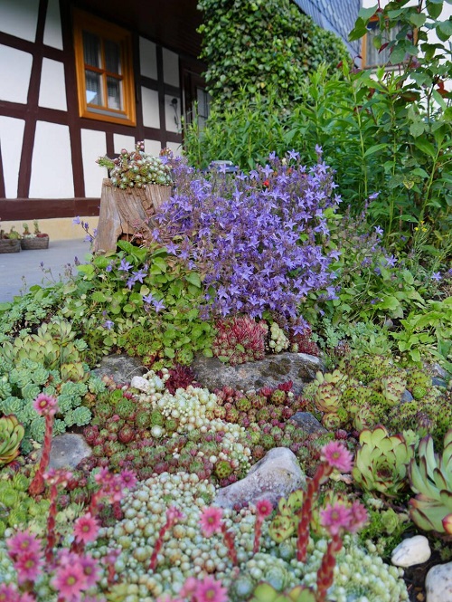 best succulent rock arrangements 5