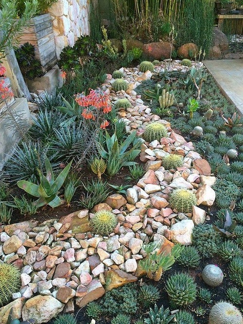 best succulent rock garden ideas 3