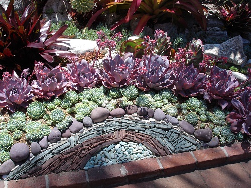 geometric design succulent rock garden idea