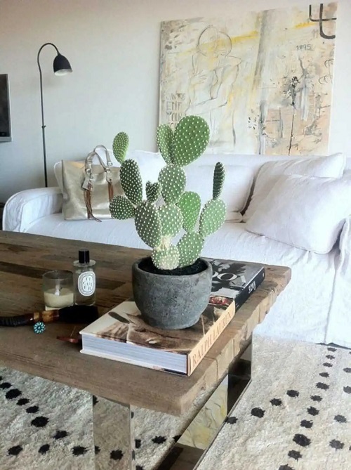 Succulent Garden Plant 1