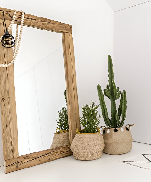 Indoor Cactus Decor Ideas 1