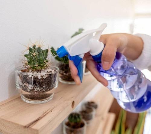  Watering Technique