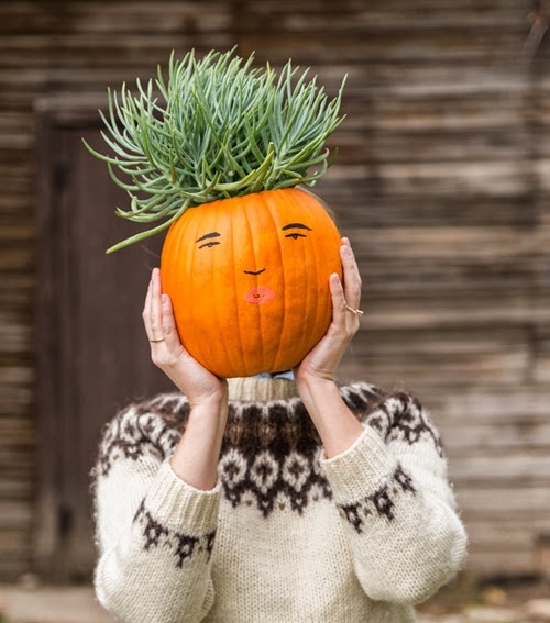 DIY Succulent Pumpkin. 5