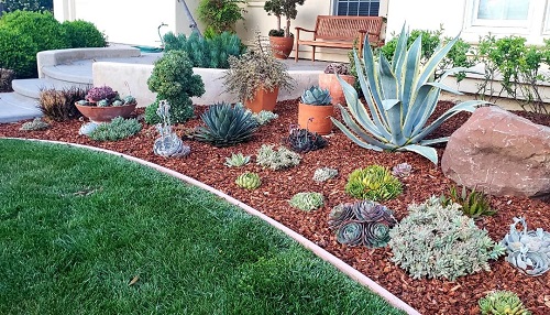 Garden of Succulents ideas to copy and design 1