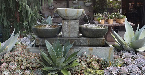 Patio Succulent Garden 2