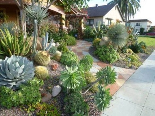 Garden of Succulents ideas to copy and design 3