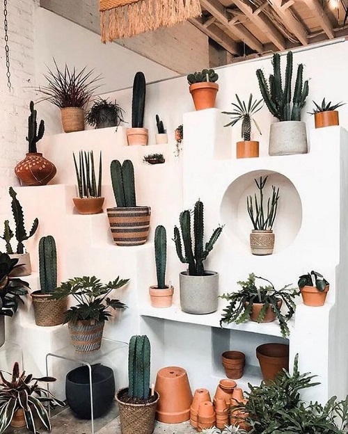 Unique Cactus Decor Ideas 5