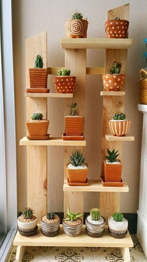 top Succulent Corner in Your Home