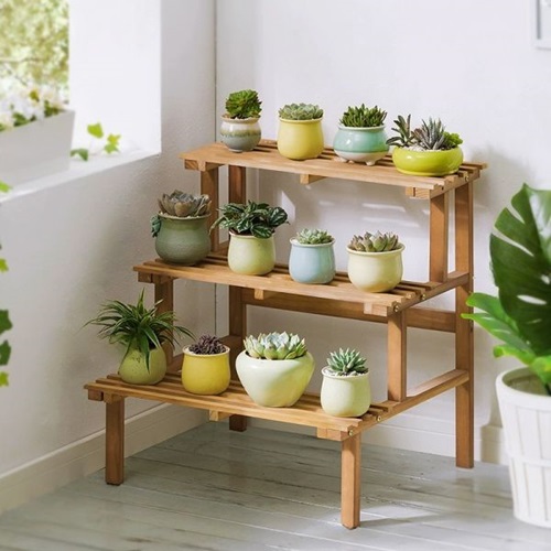 Create a Succulent Corner in Your Home