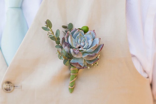 DIY Succulent Boutonniere Ideas