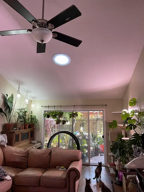 Solar Tubes for Natural Light Indoors