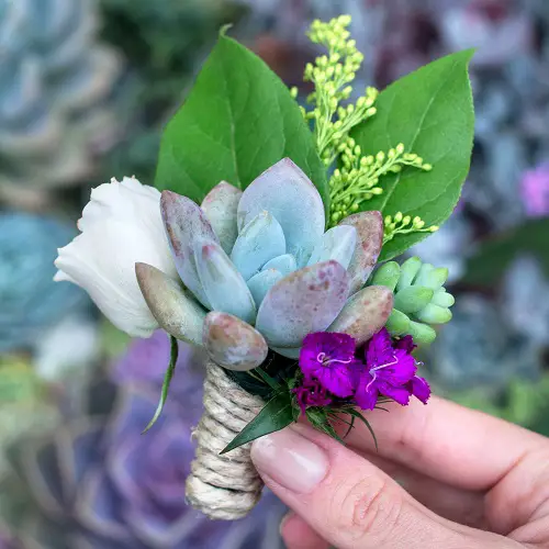 Succulent Boutonniere Ideas