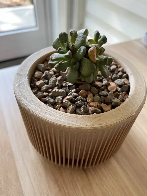 New succulent table Decorations 1