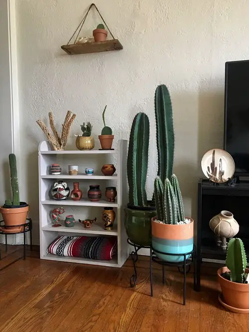 Cactus arrangement Ideas 3