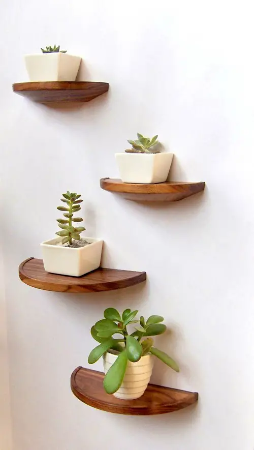 DIY Floating Succulent Shelves for minimalists