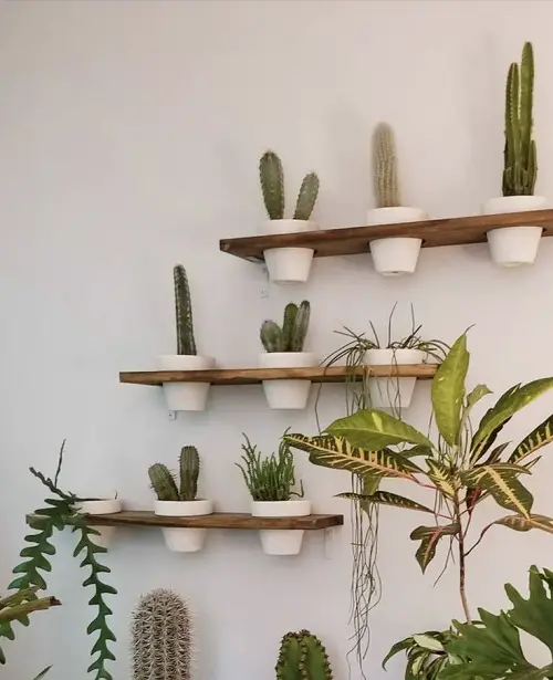 DIY Floating Succulent Shelves for minimalists