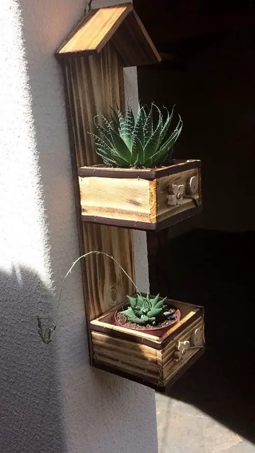 beautiful Floating Succulent Shelves