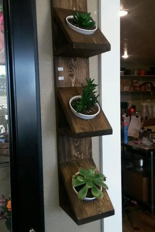 unique shelves for succulent