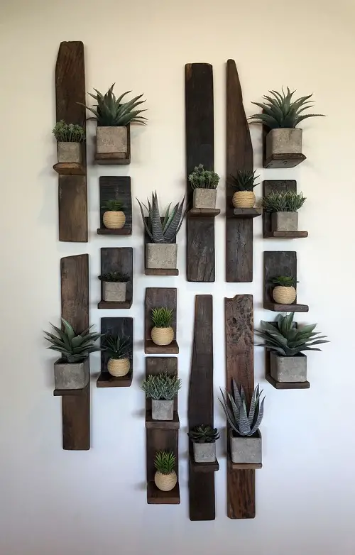 DIY Floating Succulent Shelves That Look Incredible 2