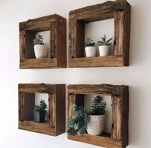 wooden DIY Floating Succulent Shelves