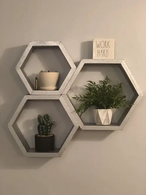 hexagonal floating succulent plant shelves