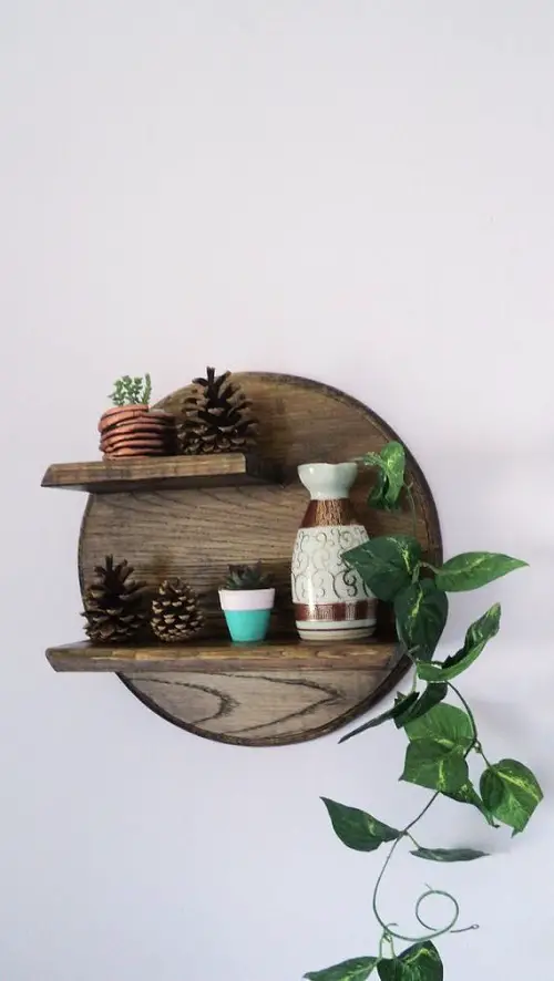 DIY Floating Succulent Shelf with circular base