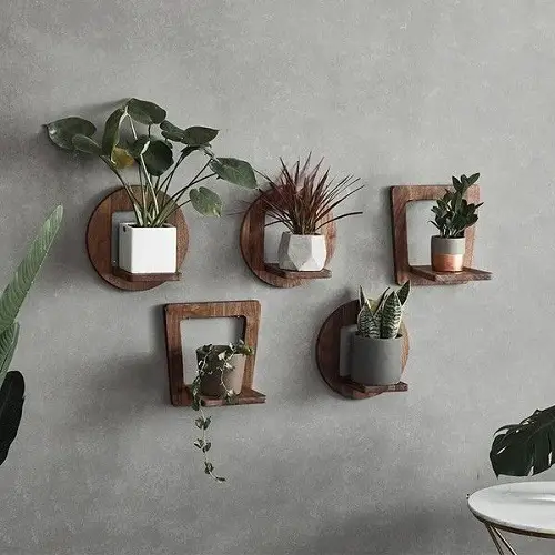 beautifully shaped wooden diy succulents floating shelves