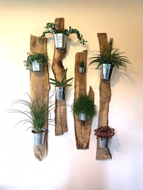 DIY Floating Succulent Shelves That Look Incredible 3