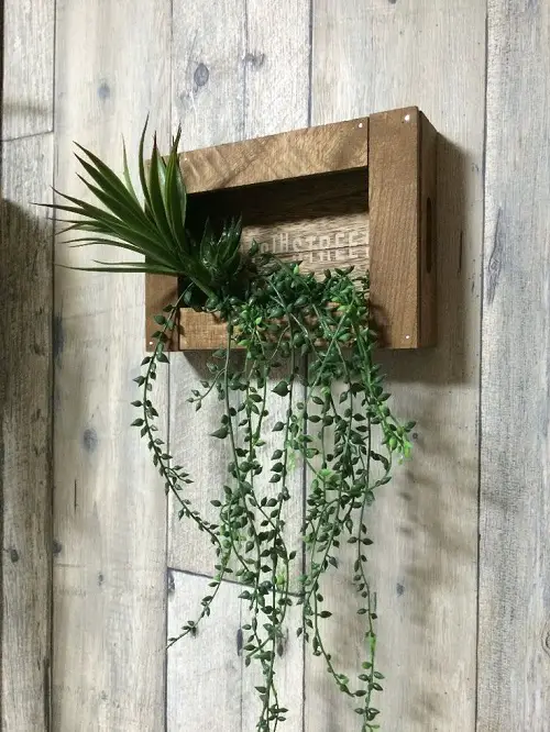 DIY Floating Succulent Shelves That Look Incredible 4