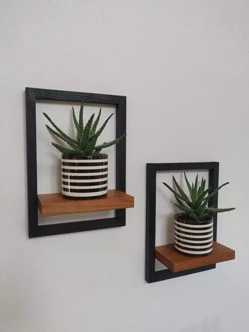 DIY Floating Succulent Shelves That Look Incredible 5