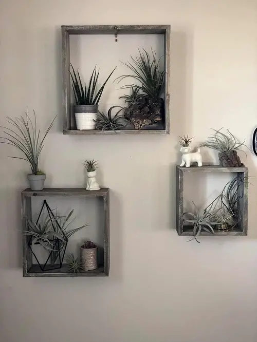 easy DIY Floating Succulent Shelves 