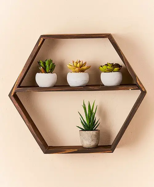 hexagonal diy succulent floating shelf