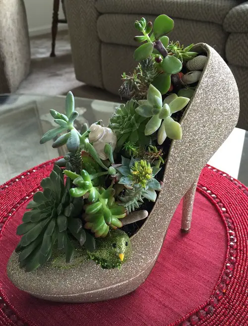 Succulent Arrangement in Footwear 1