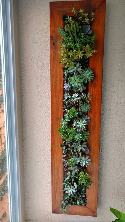 Succulent Decorating Ideas 1